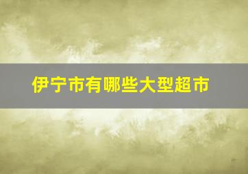 伊宁市有哪些大型超市