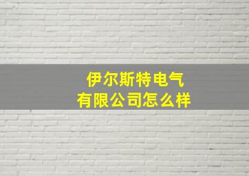 伊尔斯特电气有限公司怎么样