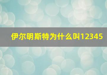 伊尔明斯特为什么叫12345