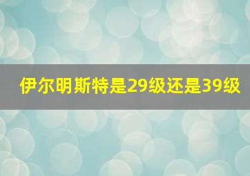 伊尔明斯特是29级还是39级