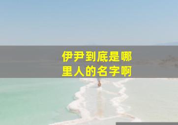 伊尹到底是哪里人的名字啊