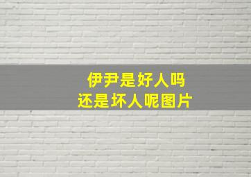 伊尹是好人吗还是坏人呢图片