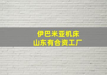 伊巴米亚机床山东有合资工厂