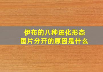 伊布的八种进化形态图片分开的原因是什么