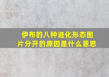 伊布的八种进化形态图片分开的原因是什么意思