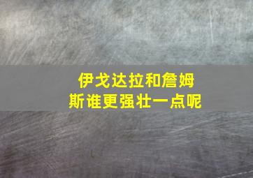 伊戈达拉和詹姆斯谁更强壮一点呢