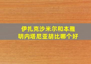 伊扎克沙米尔和本雅明内塔尼亚胡比哪个好