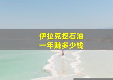 伊拉克挖石油一年赚多少钱