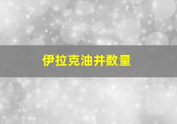 伊拉克油井数量