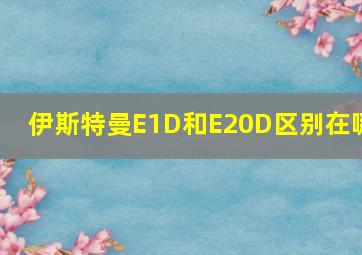 伊斯特曼E1D和E20D区别在哪