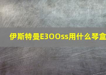 伊斯特曼E3OOss用什么琴盒