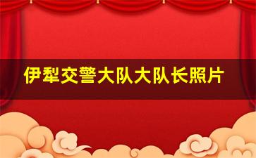 伊犁交警大队大队长照片