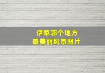 伊犁哪个地方最美丽风景图片