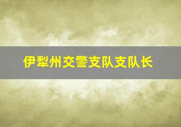 伊犁州交警支队支队长