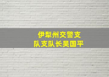 伊犁州交警支队支队长吴国平