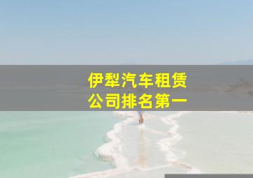 伊犁汽车租赁公司排名第一