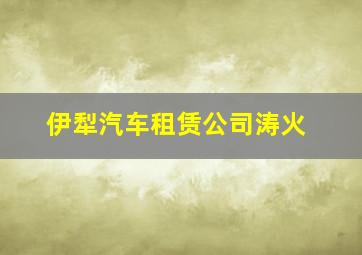 伊犁汽车租赁公司涛火