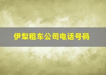 伊犁租车公司电话号码