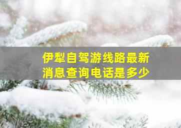 伊犁自驾游线路最新消息查询电话是多少