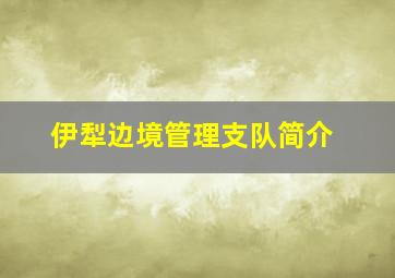 伊犁边境管理支队简介