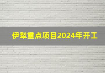 伊犁重点项目2024年开工