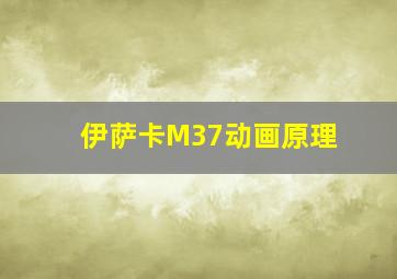 伊萨卡M37动画原理