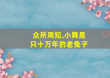 众所周知,小舞是只十万年的老兔子