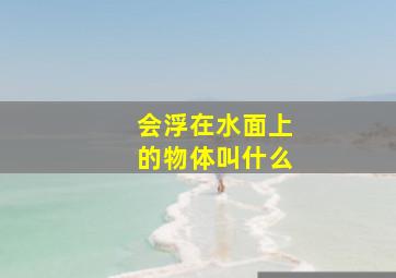 会浮在水面上的物体叫什么