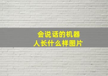 会说话的机器人长什么样图片