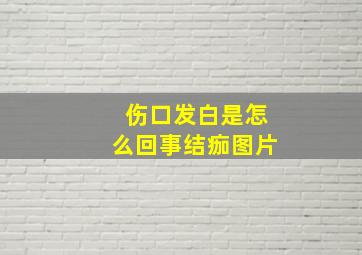 伤口发白是怎么回事结痂图片