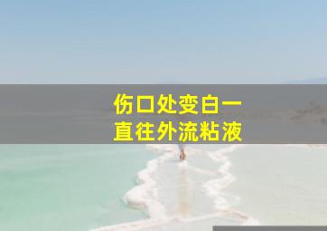 伤口处变白一直往外流粘液