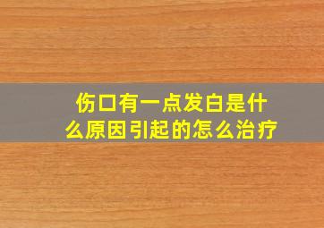 伤口有一点发白是什么原因引起的怎么治疗