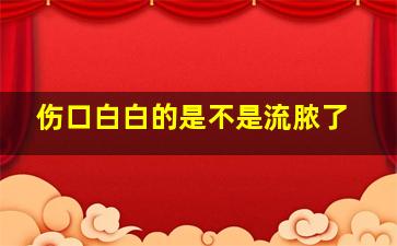 伤口白白的是不是流脓了