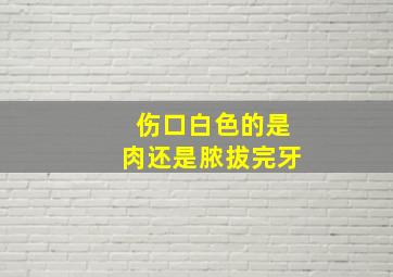 伤口白色的是肉还是脓拔完牙