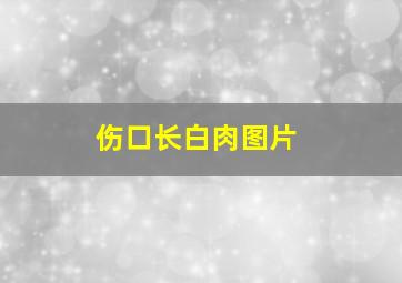 伤口长白肉图片