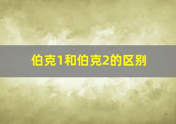 伯克1和伯克2的区别