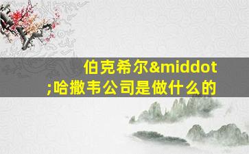 伯克希尔·哈撒韦公司是做什么的