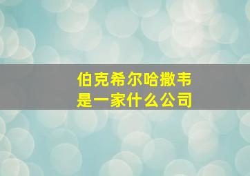 伯克希尔哈撒韦是一家什么公司