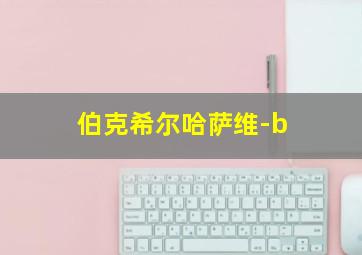 伯克希尔哈萨维-b