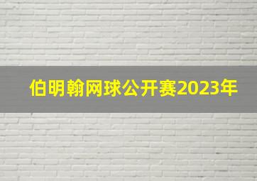 伯明翰网球公开赛2023年