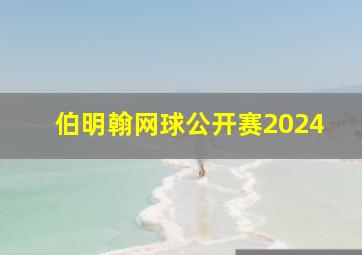 伯明翰网球公开赛2024