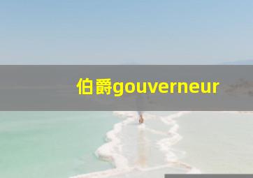 伯爵gouverneur