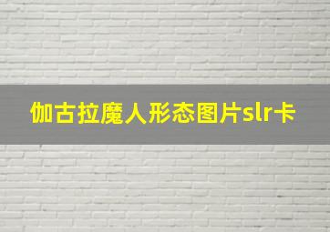 伽古拉魔人形态图片slr卡