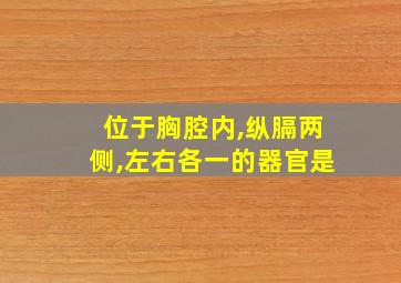 位于胸腔内,纵膈两侧,左右各一的器官是