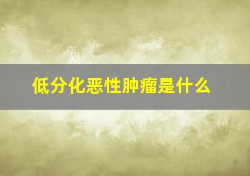 低分化恶性肿瘤是什么