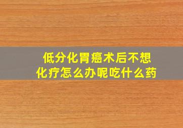 低分化胃癌术后不想化疗怎么办呢吃什么药