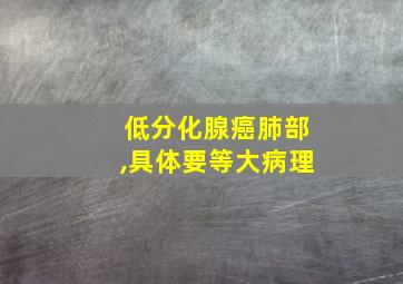 低分化腺癌肺部,具体要等大病理