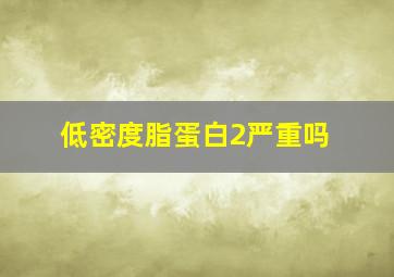 低密度脂蛋白2严重吗