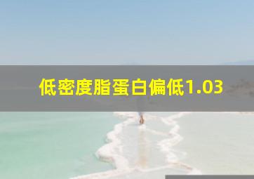 低密度脂蛋白偏低1.03