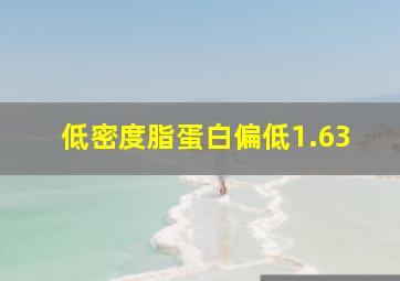 低密度脂蛋白偏低1.63